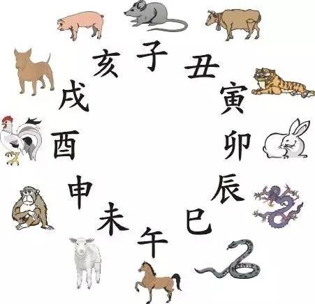 蒙头转向探生肖奥秘，揭开准确生肖之谜的真相