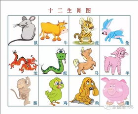 一瞥间探寻生肖奥秘，生肖之魅力揭秘
