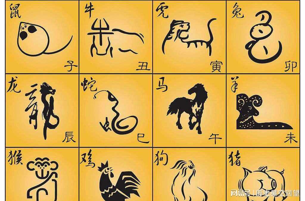 虚名在外，深度解读生肖精准象征意义
