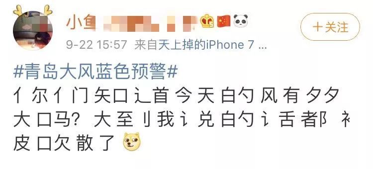 揭秘生肖背后的智慧与谜团，探寻舌绽花言的秘密