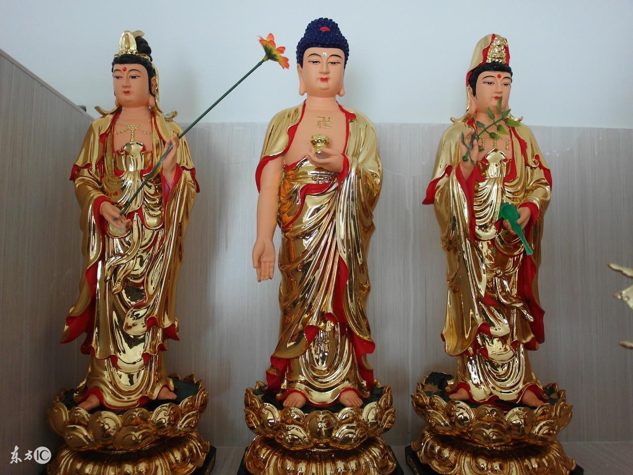 不安本分，揭秘生肖特质深度解析