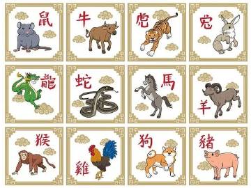揭秘三三上下左右生肖的秘密