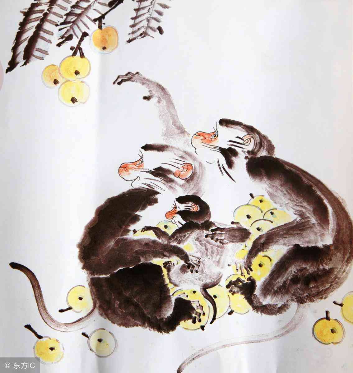 生肖文化中的隐喻与深义探寻，白首无成猜一肖