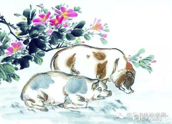 抱诚守真，深度探寻生肖文化之韵