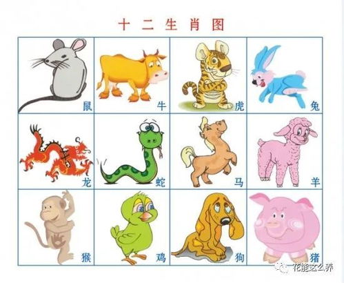 纸醉金迷背后的生肖寓言故事