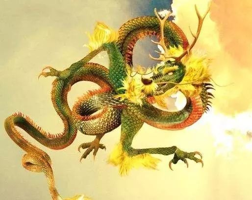 花飞蝶舞间的生肖之龙，神秘魅力的展现