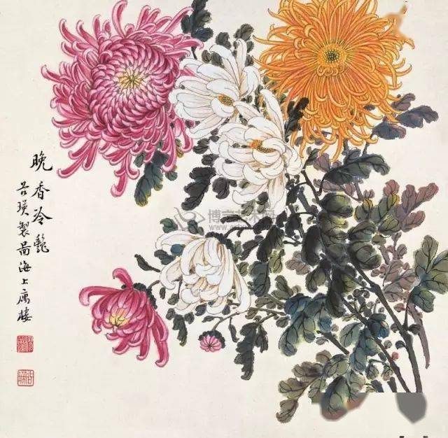 秋菊依簇与生肖奥秘揭秘