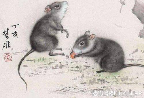 生肖与孳孳不倦精神的精准匹配探索