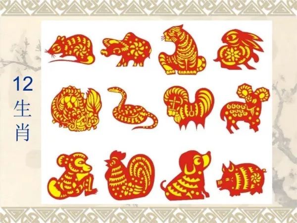 南山之寿与生肖奥秘揭秘