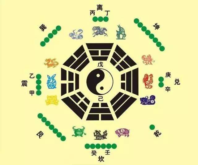 揭秘生肖奥秘，神秘生肖大解密
