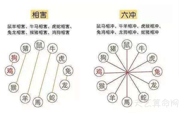 宿将旧卒与生肖之谜探秘，揭秘生肖背后的故事与秘密