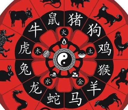 有头无尾解生肖之谜