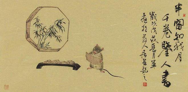 土里土气与生肖的奥秘探索