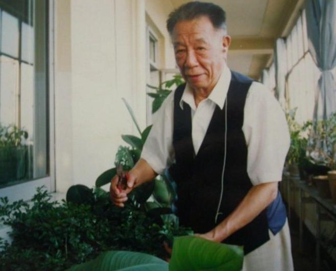 化整为零的生肖智慧，猴之奥秘
