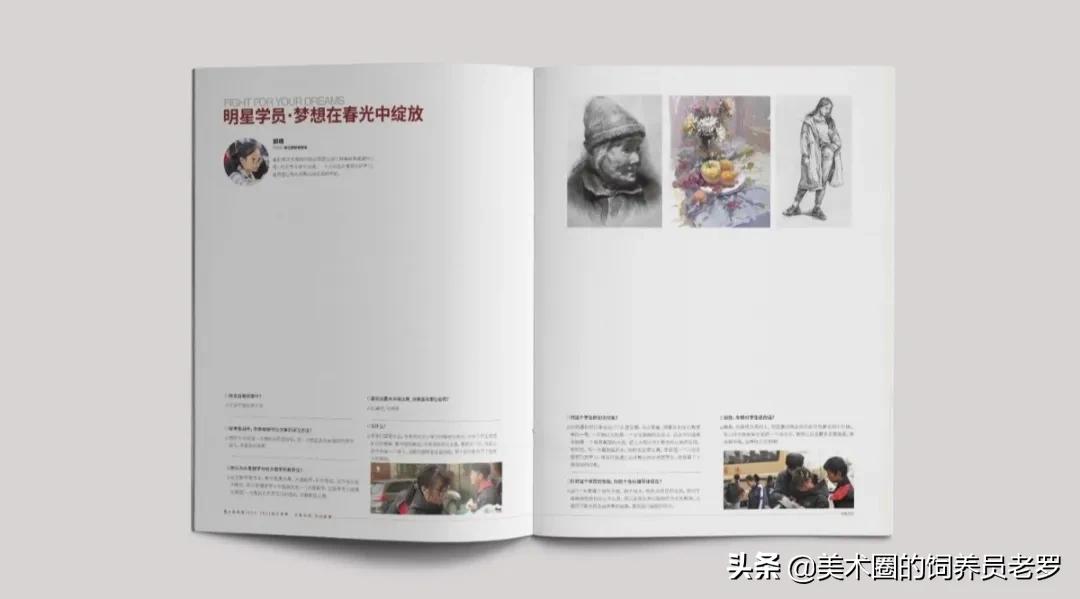 揭秘生肖奥秘，白首如新的神秘之旅