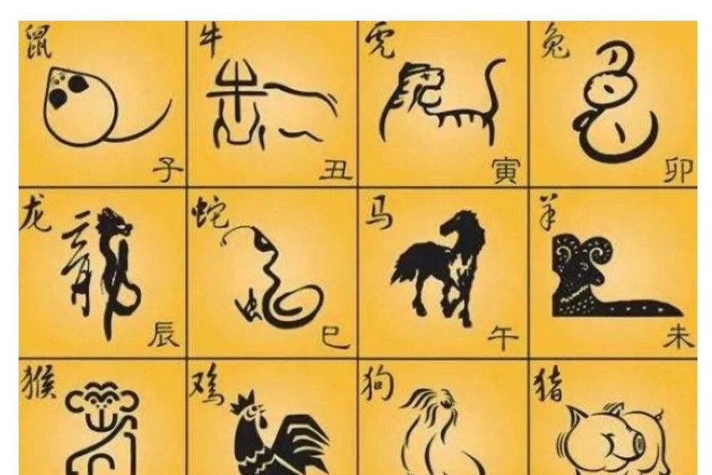 自相惊扰间，智慧启示显——生肖文化深度解读