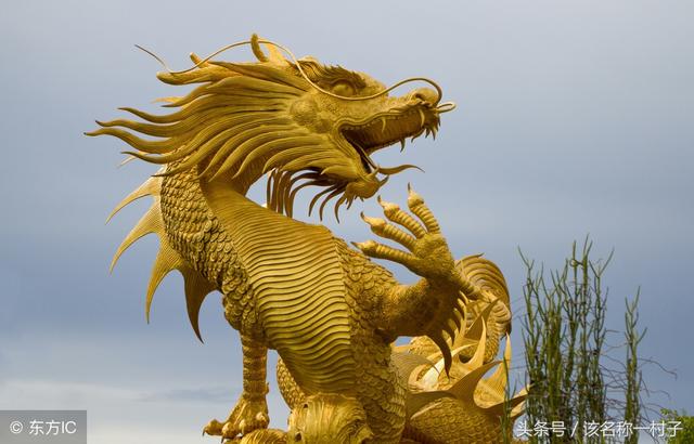 龙，水金数中大彩的生肖动物