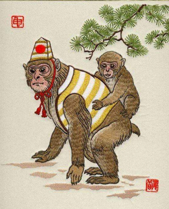 探寻生肖奥秘，猴的天地之旅