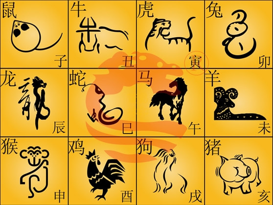 揭秘匕鬯不惊背后的生肖奥秘