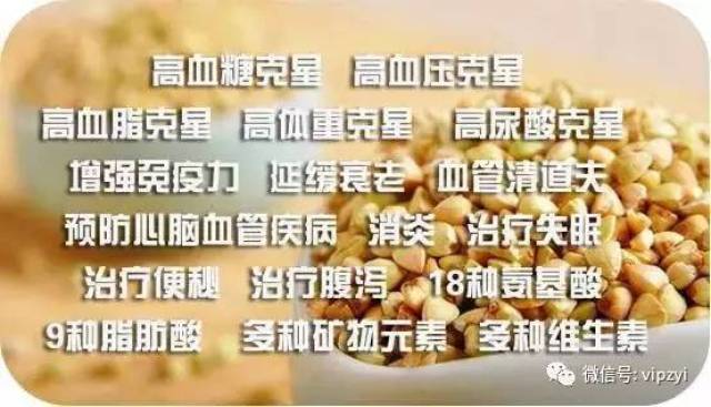 解密生肖之谜，素食者的清白人生