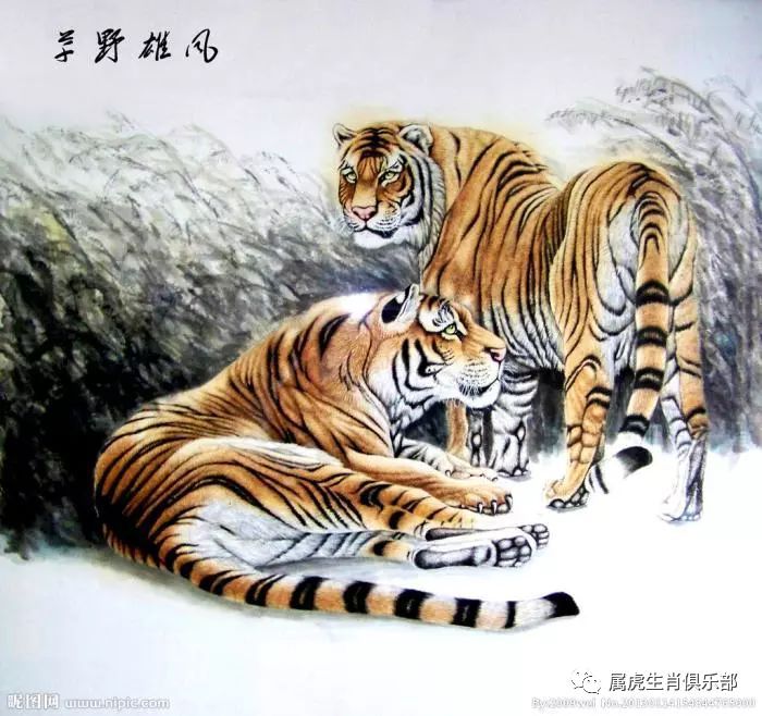 揭秘生肖奥秘，日升月微探玄机