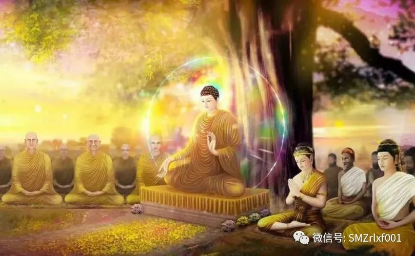 六根清净佛门地与生肖奥秘探索