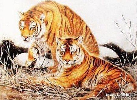 顺风顺水顺人意，生肖运势大展宏图如虎添翼