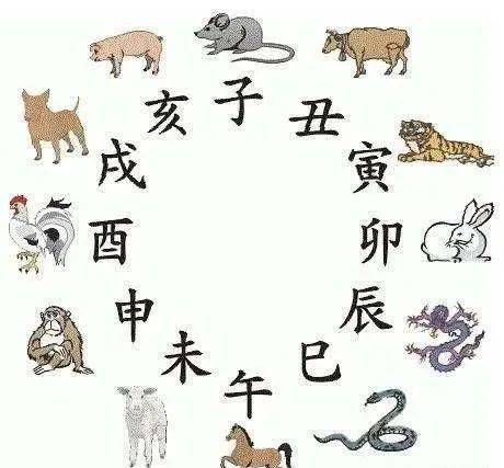短斤缺两背后的生肖之谜