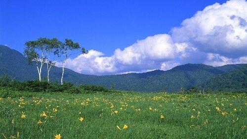 揭秘好运连连的生肖，探寻生肖与好运的神秘关联