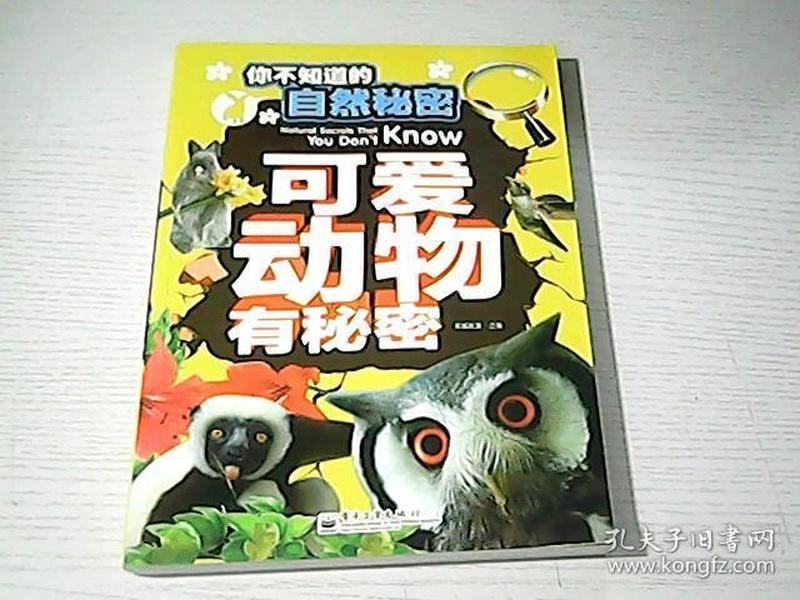 生肖动物之神秘关联，揭秘大摇大摆的生肖世界