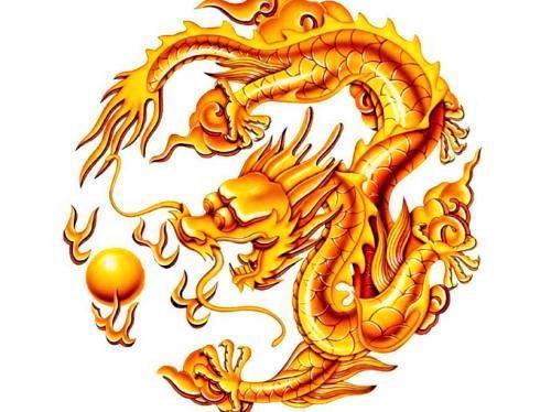 热火朝天与生肖的奥秘联系