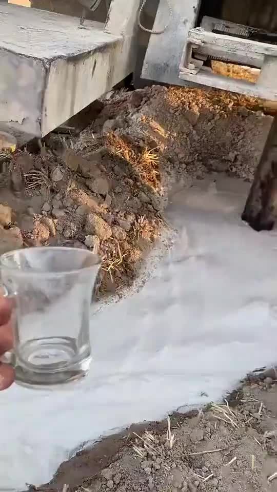 生肖牛，力大无穷，体魄强健