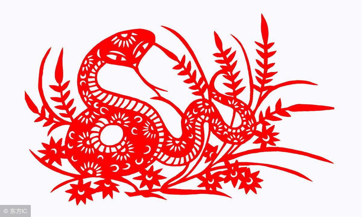 揭秘生肖传奇，春蚓秋蛇的神秘故事