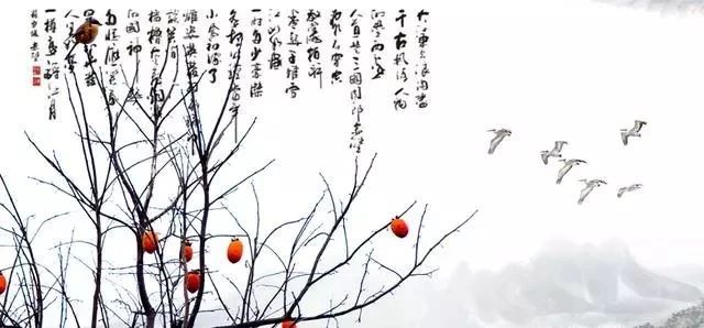 腊月菊花傲霜雪的生肖年华胜景