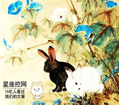 岁岁有余与精准生肖，探寻三一打背后的文化寓意和生肖奥秘