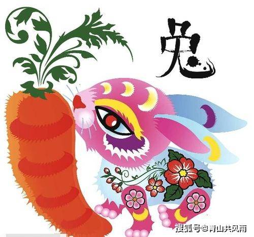 生肖秘密大揭秘，鬼头鬼脑的生肖与个性特征解析