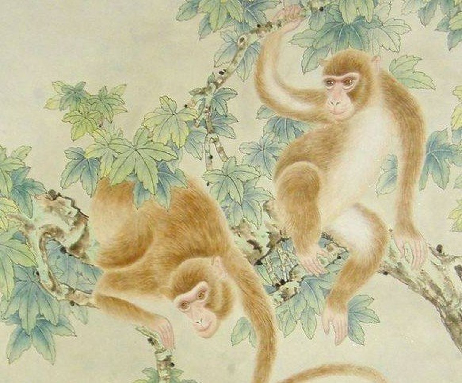 猴，揭秘生肖多变之谜