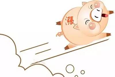 揭秘生肖背后的愤怒真相