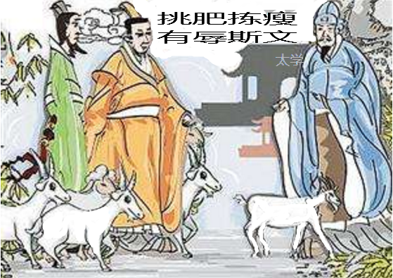 男盗女娼背后的生肖故事与隐喻探索