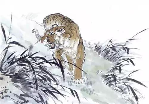 水陆间探寻神秘生肖踪迹