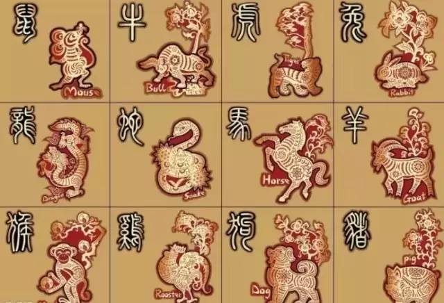 揭秘生肖奥秘，白里透红的神秘面纱