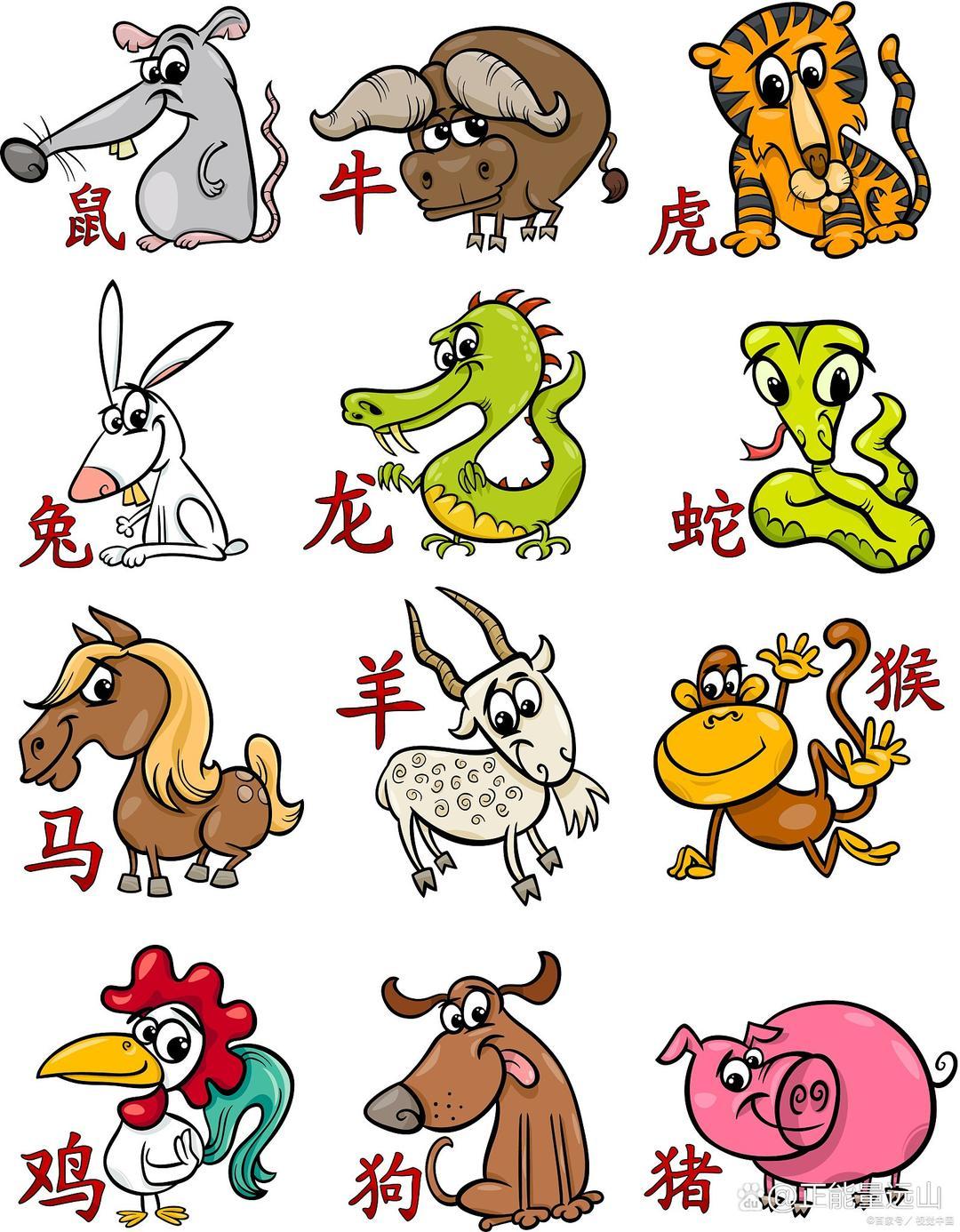 生肖奥秘与心劳计绌的探讨