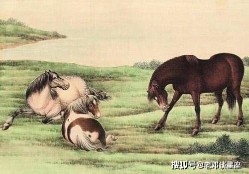 生肖智慧与优柔寡断，探寻最佳动物生肖的象征意义解析