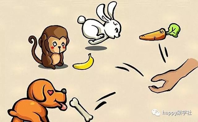 揭秘生肖文化中的智慧与趣味，手到擒来的生肖之谜