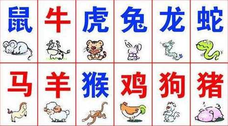 六字谜语探秘，一二相伴揭秘生肖之谜