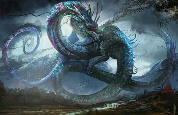 揭秘生肖之谜，二一添四探秘背后的故事