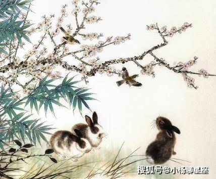 生肖兔的优雅和谐风采，如沐春风的体验