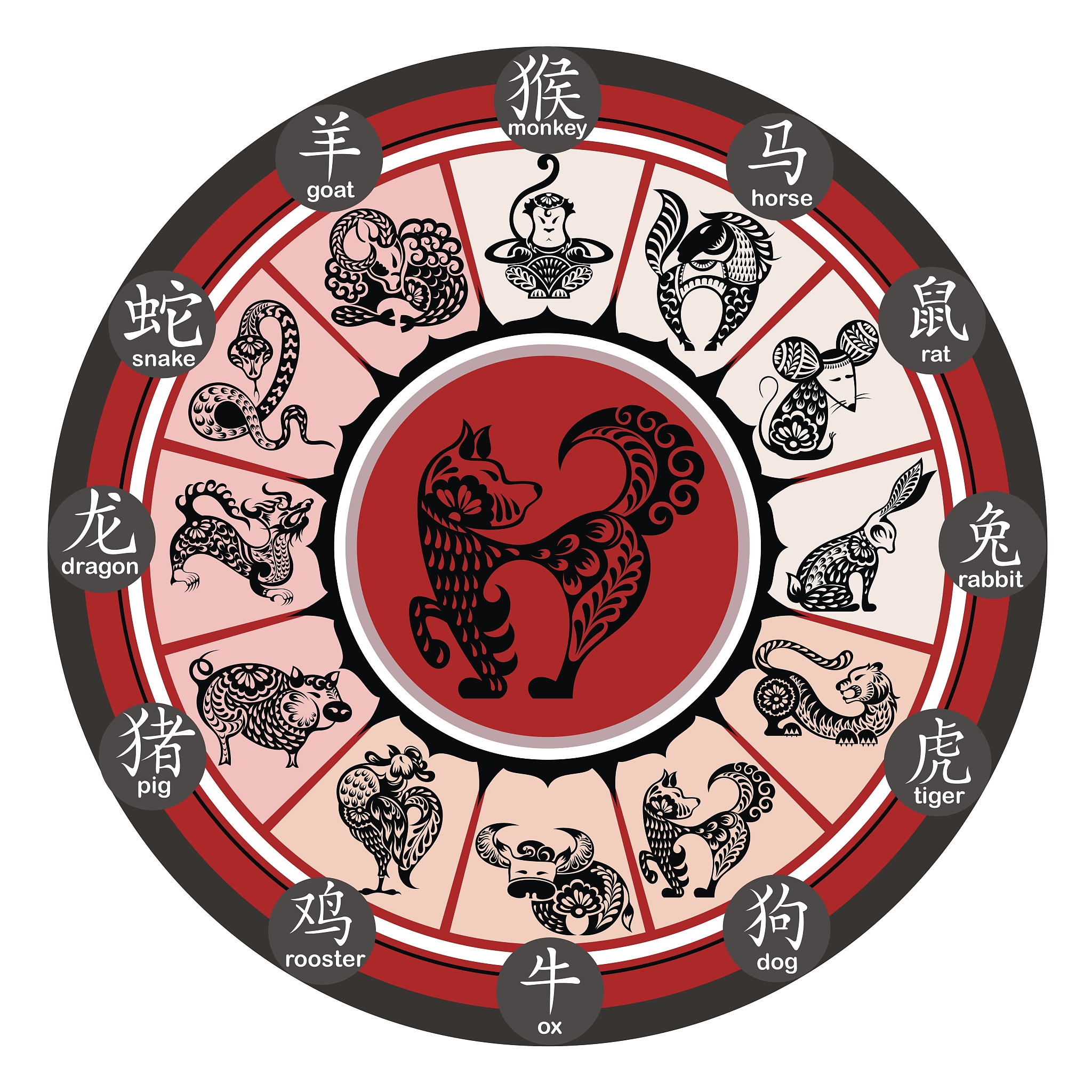 中国传统文化的独特魅力探寻，生肖与十三里路走四回的奥秘