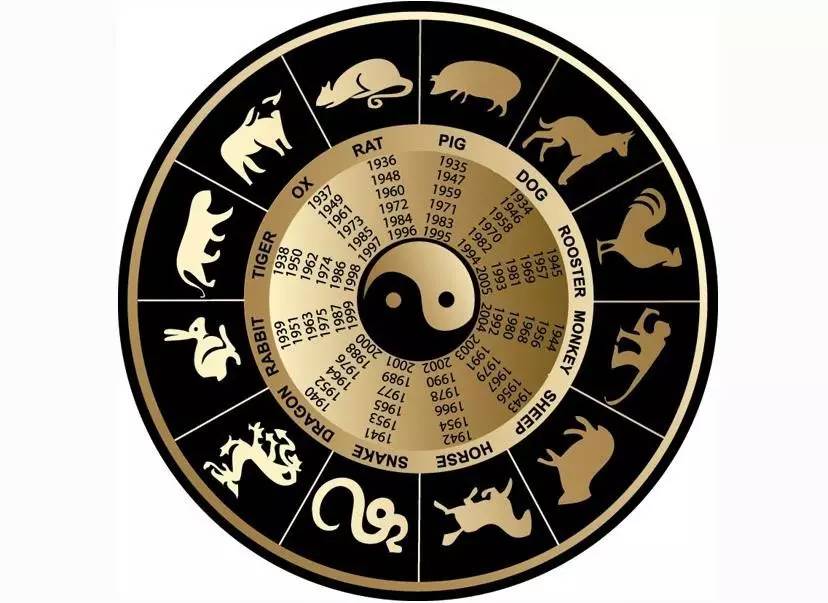 解密生肖动物中的智慧之星，暗中盘算揭示智慧之星之谜