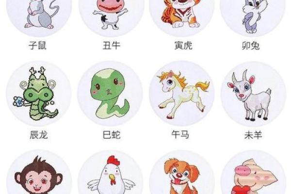 后生晚学代表的生肖，智慧启示探寻生肖文化中的深层含义